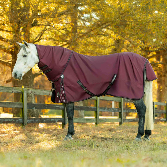 Equinavia Norse Mid Weight Turnout Blanket 200g image 