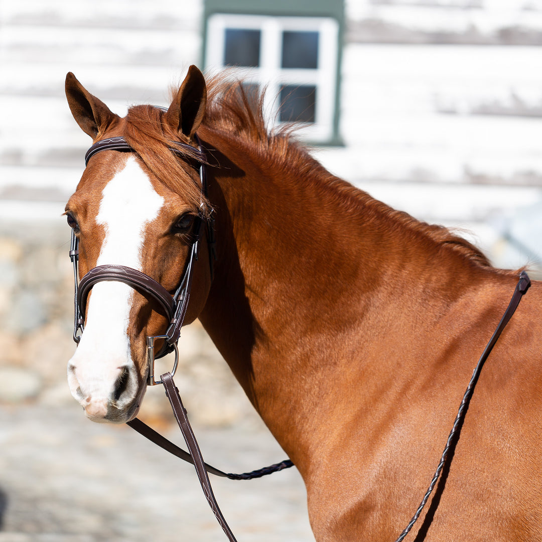 Equinavia Valkyrie Pony Fancy Stitched Bridle image 
