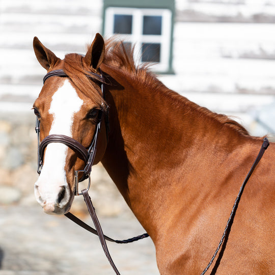 Equinavia Valkyrie Pony Fancy Stitched Bridle image 