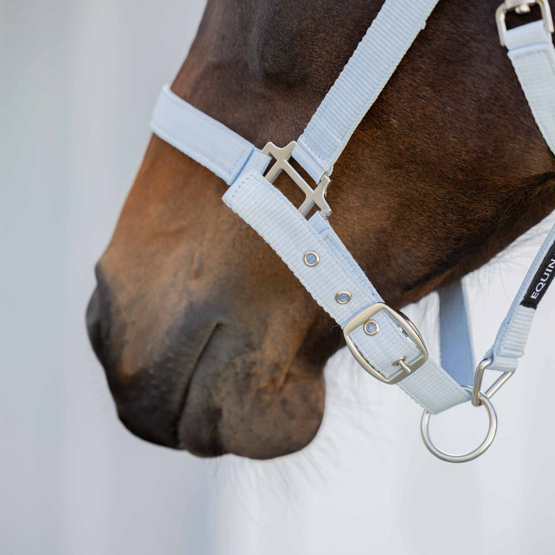 Equinavia Loki Breakaway Halter image 