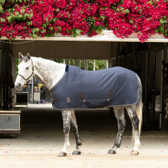 Equinavia Vind Stable Sheet image 