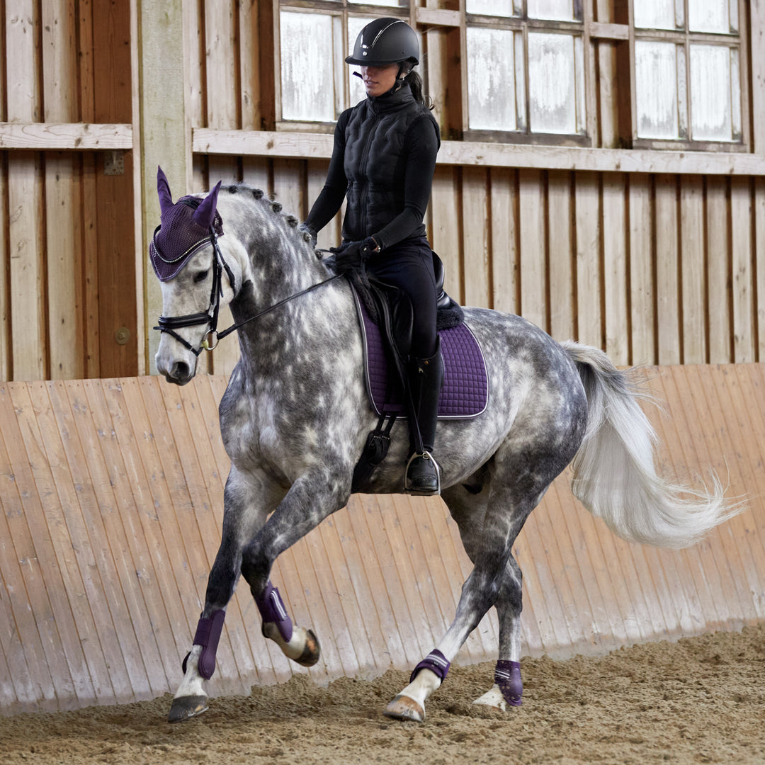 Horze Adepto Tendon Boots image 