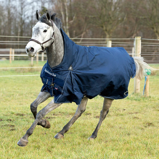 Horze Avalanche Heavy Weight Turnout Blanket 300g image 