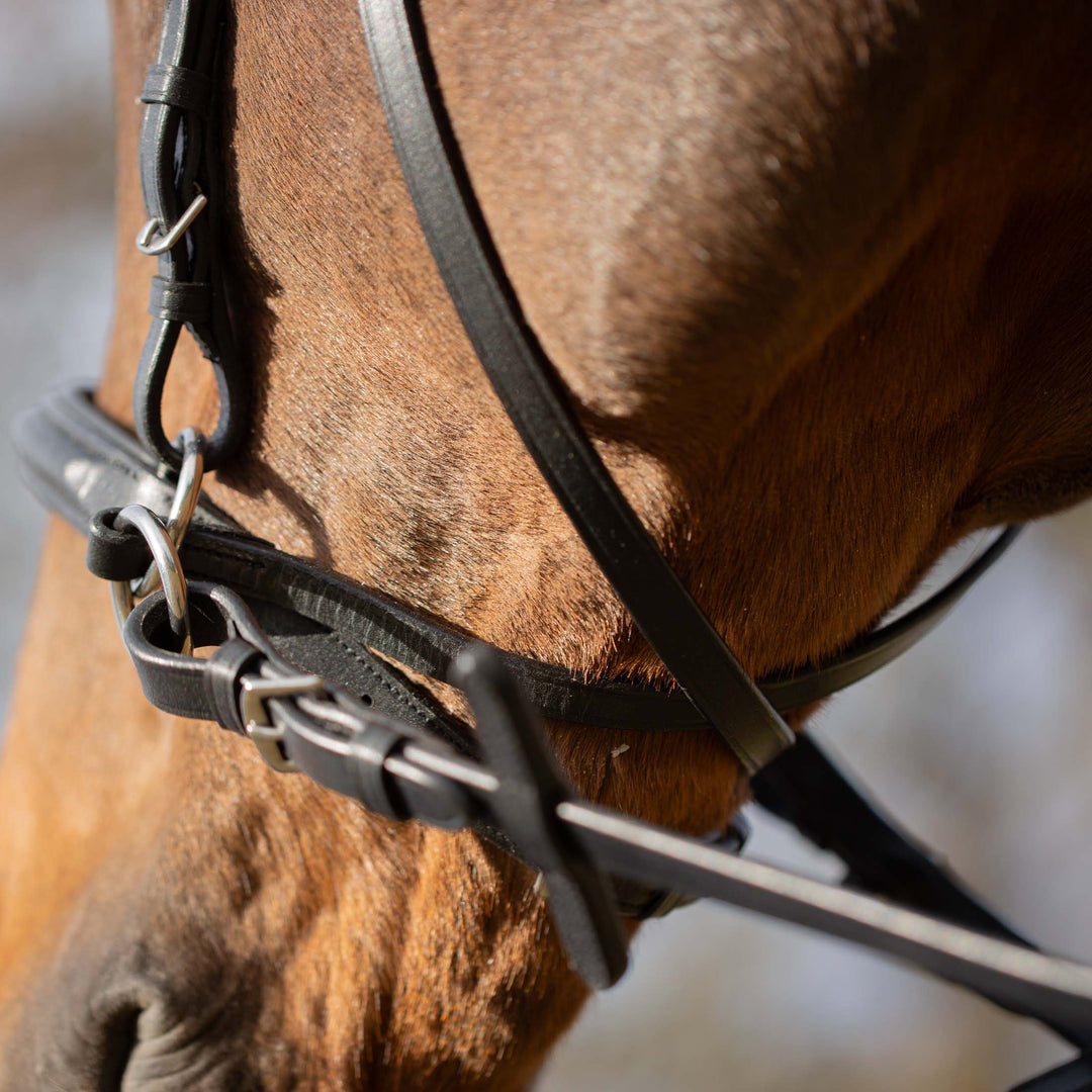 Equinavia Saga Bitless Bridle image 