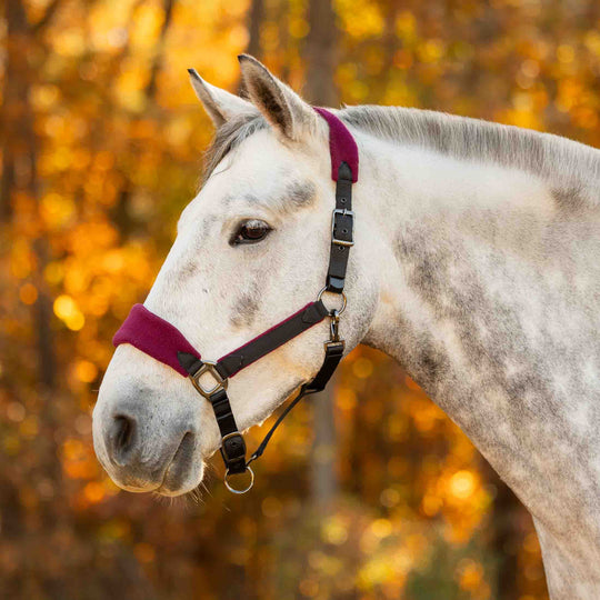 Equinavia Saga Fleece Padded Breakaway Halter image 