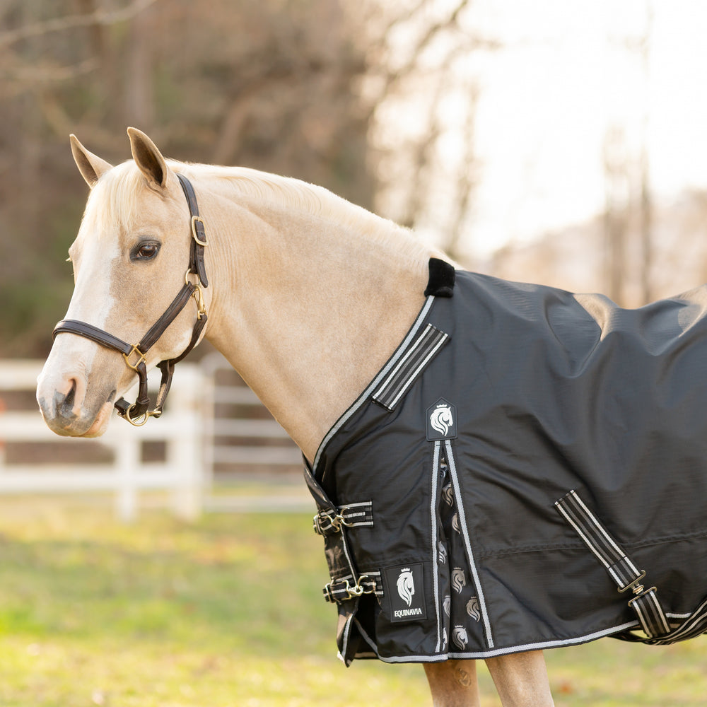 Equinavia Norse Pony Turnout Blanket 100g image #2