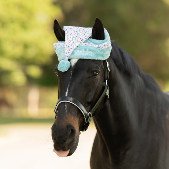 Equinavia Horse Birthday Hat image 
