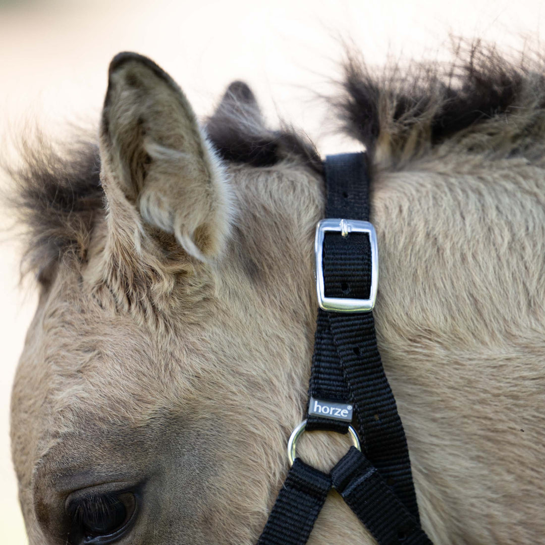 Horze Foal Halter image 