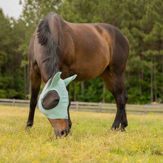 Equinavia Bug Out Fly Mask image 