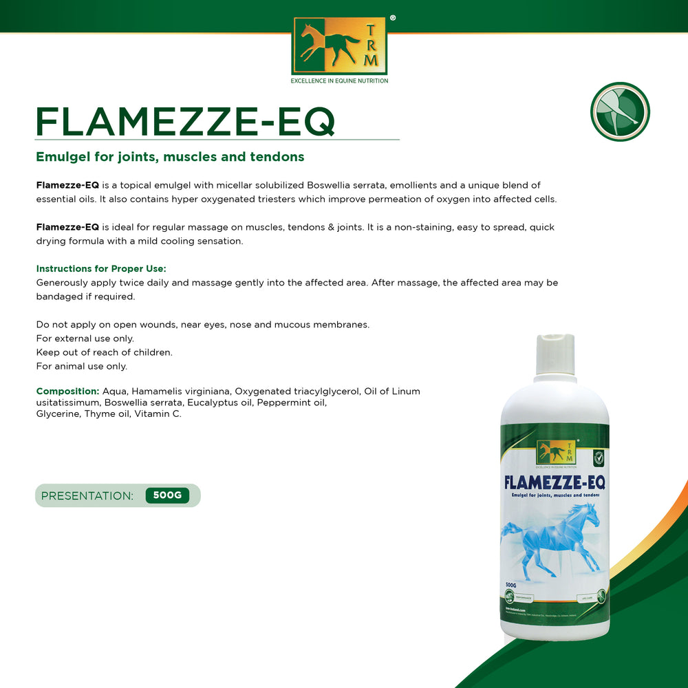 TRM Flamezze EQ image #2