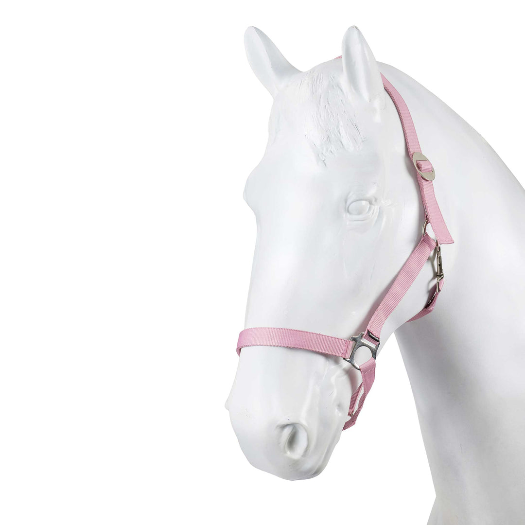 Horze Web Halter Set 3 Pcs image #1
