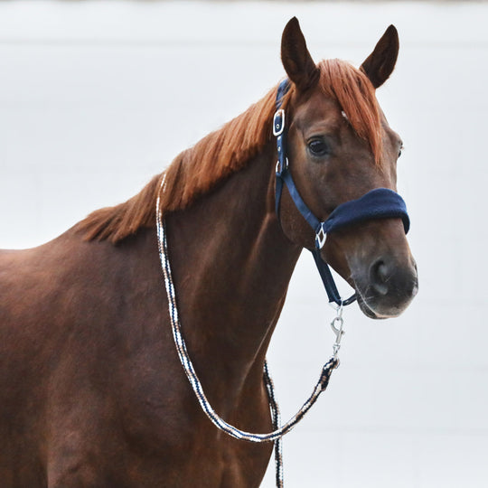 Horze Kiel Halter with Fleece image 