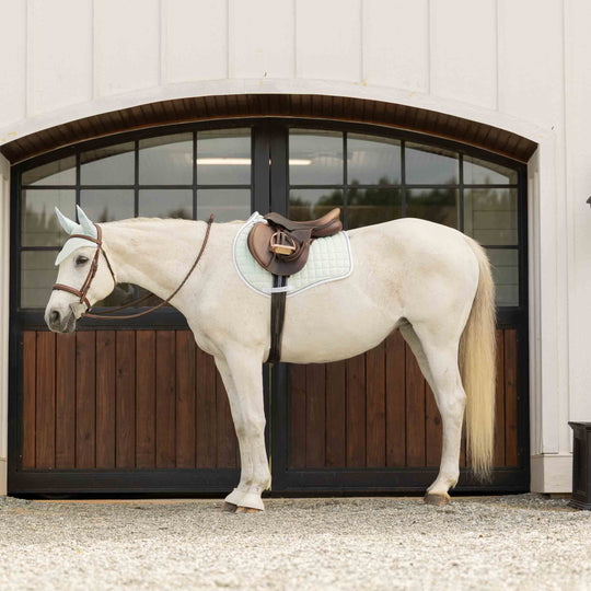 Equinavia Svalbard All Purpose Saddle Pad with NordicAir™ Tech image 