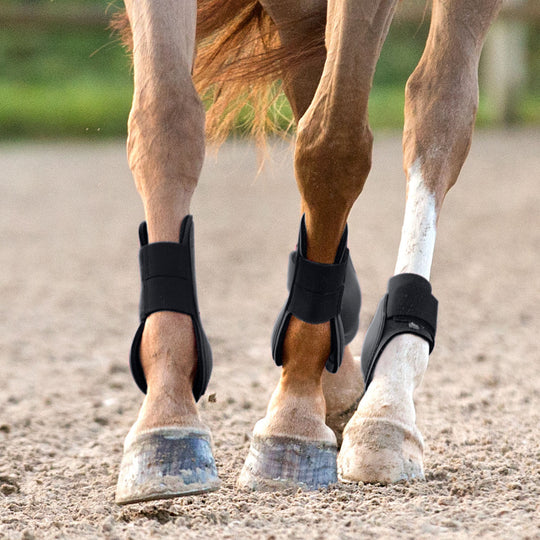 Horze Chicago Tendon Open Front Horse Boots image 