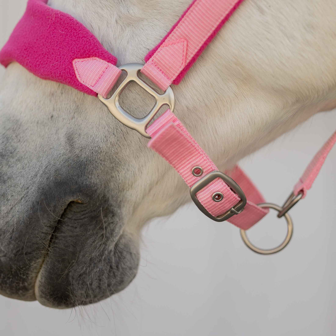 Equinavia Saga Fleece Padded Breakaway Halter image 