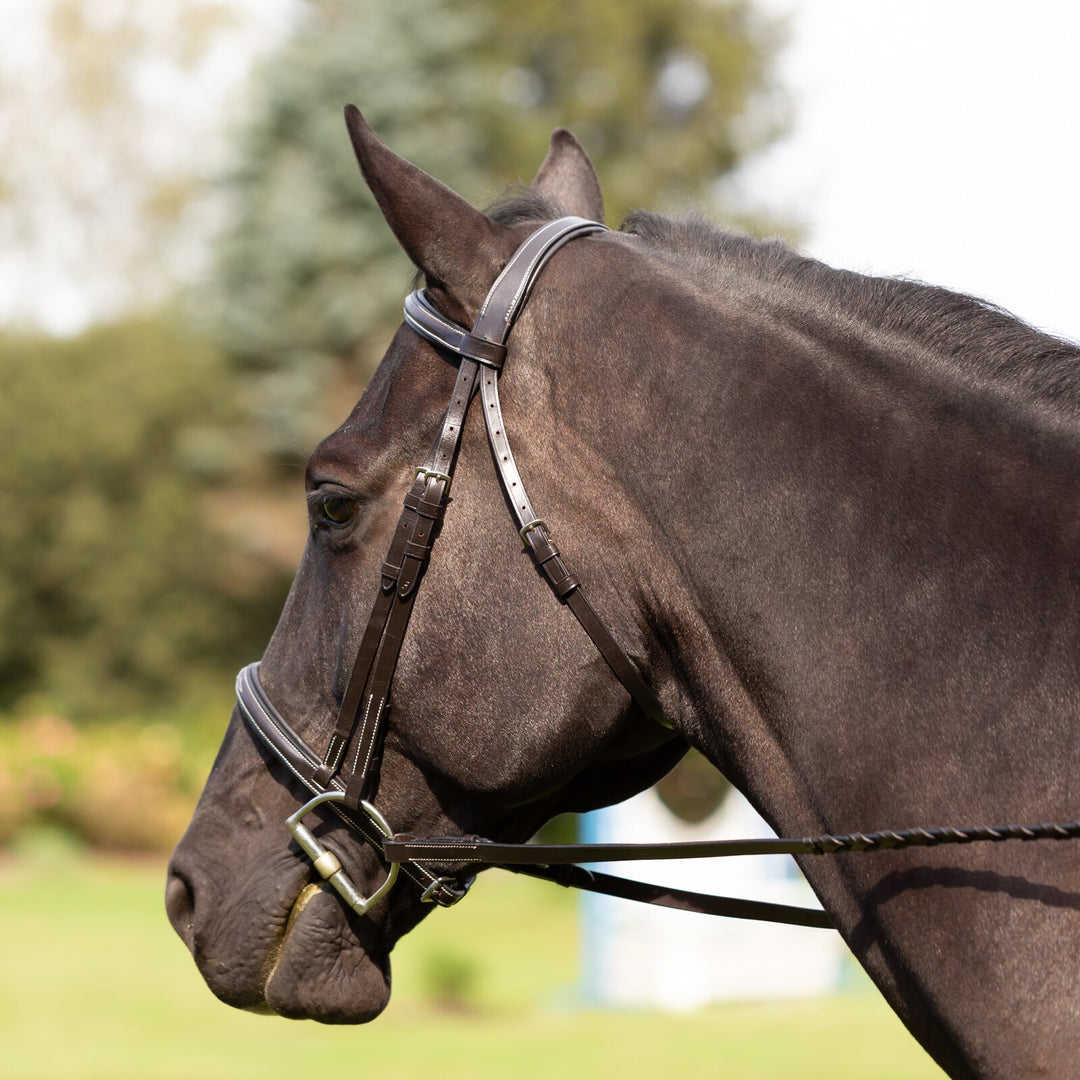 Equinavia Saga Fancy Stitched Hunter Bridle &amp; Reins image 