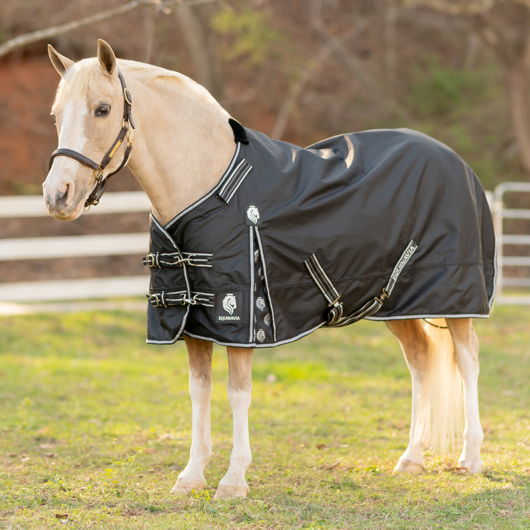 Equinavia Norse Pony Turnout Blanket 100g image 