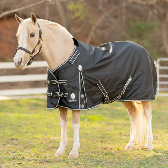 Equinavia Norse Pony Turnout Blanket 100g image 