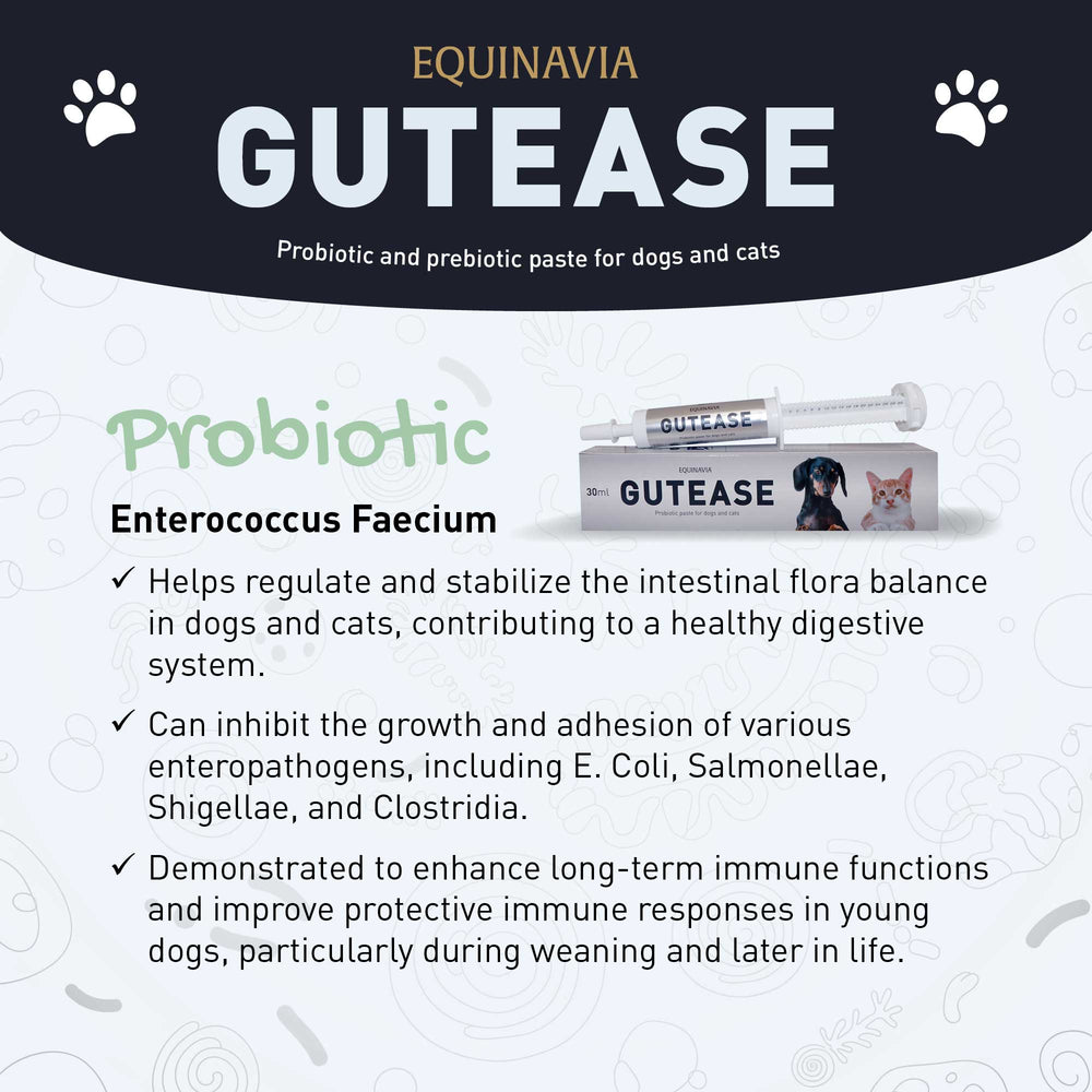 Equinavia GutEase image #2