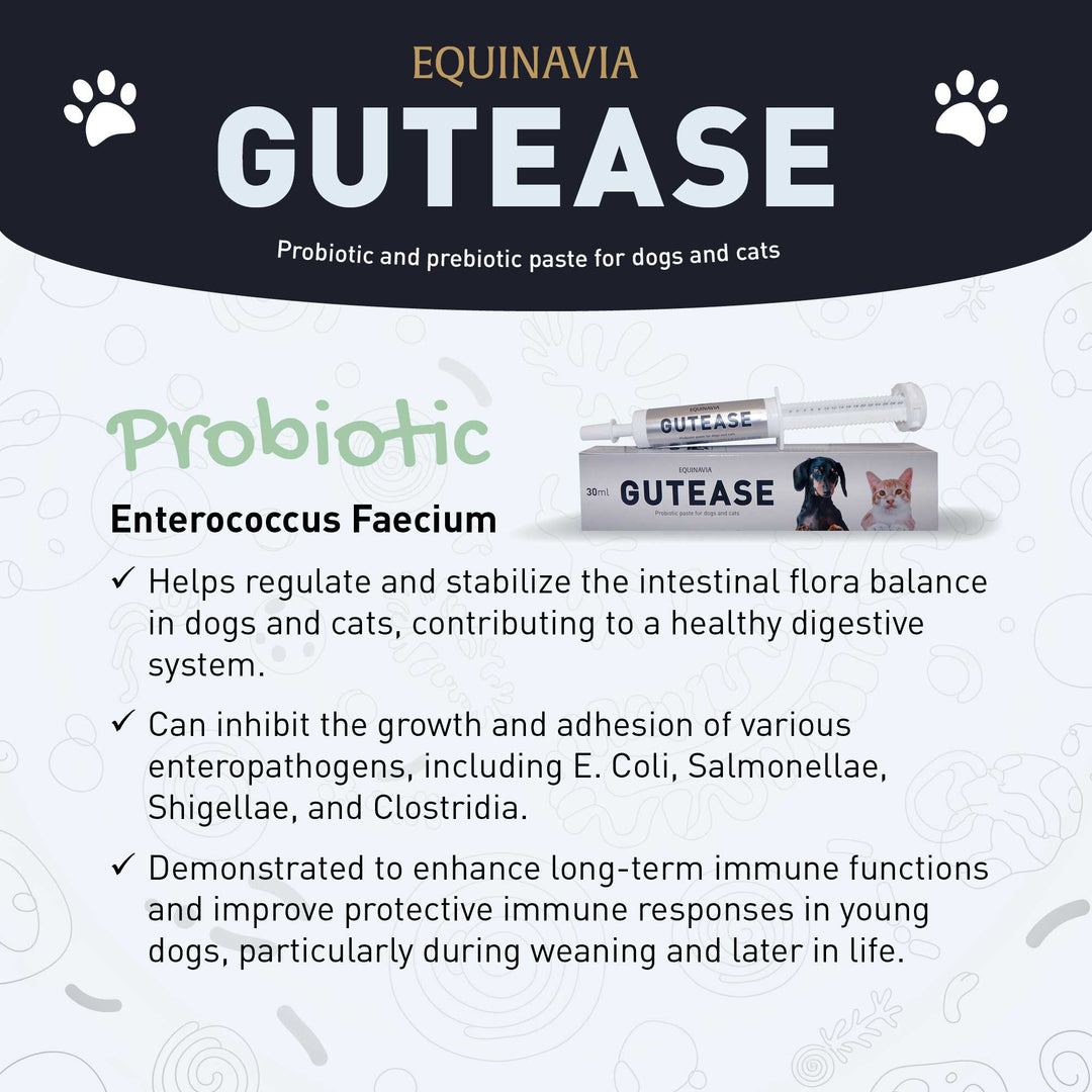 Equinavia GutEase image 