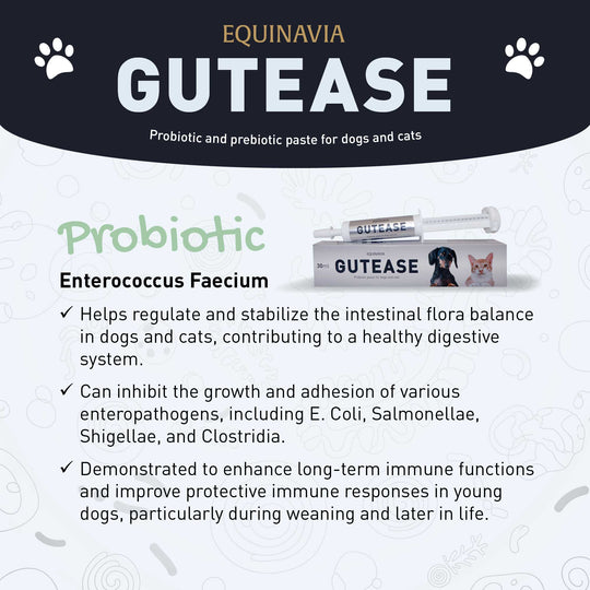Equinavia GutEase image 