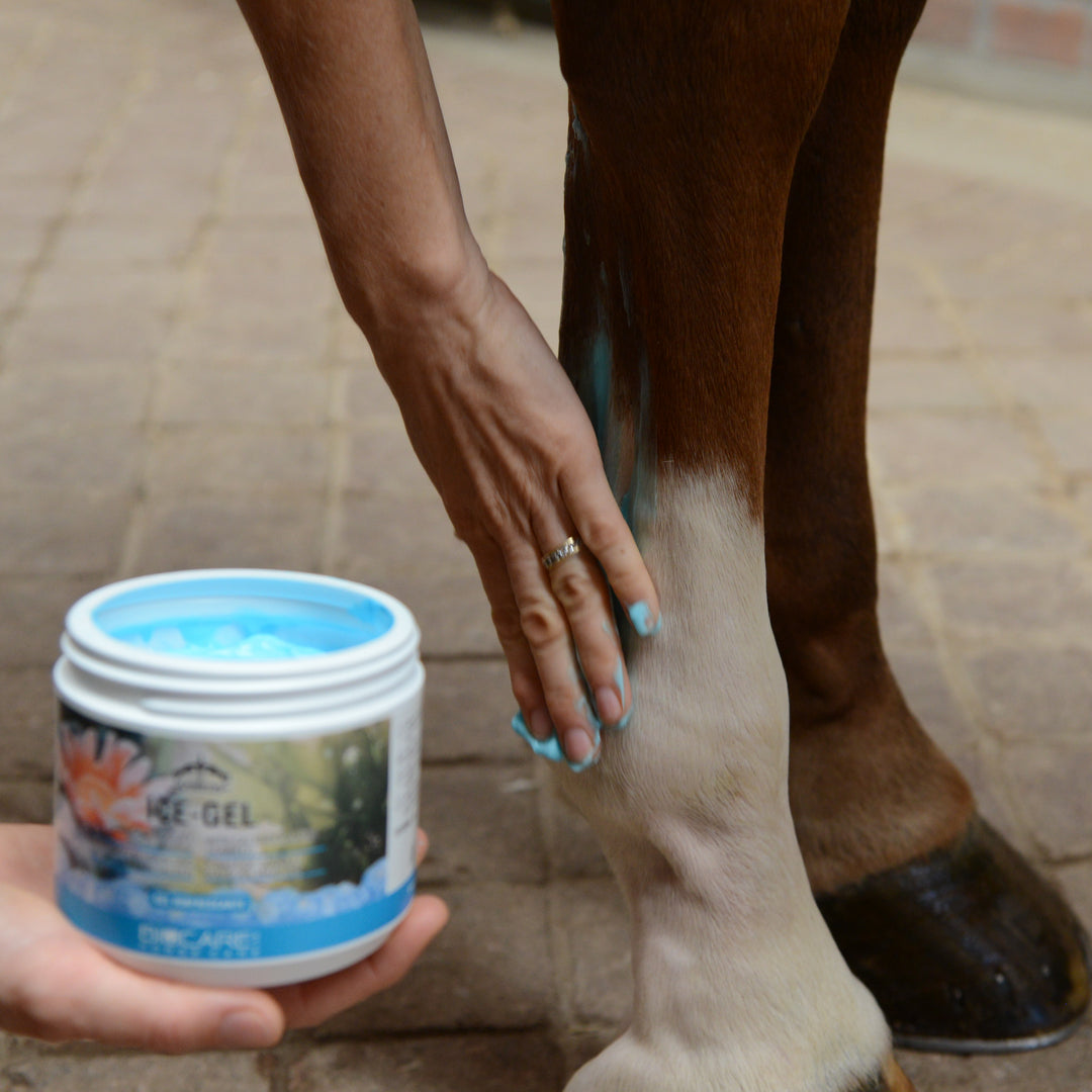 Veredus Ice-Gel image 
