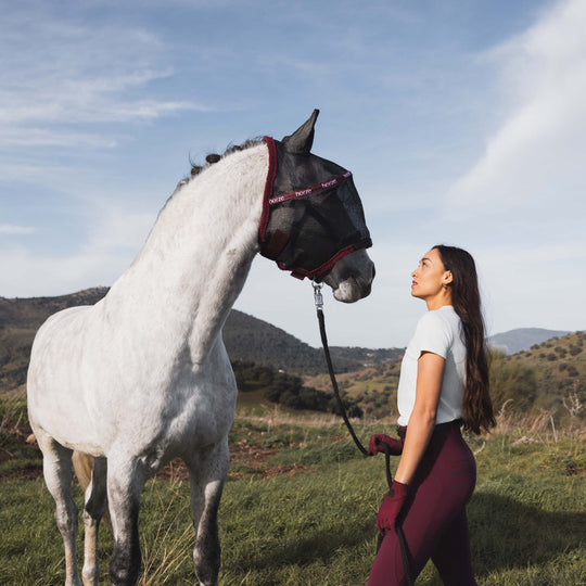 Horze Wire-Framed Fly Mask image 