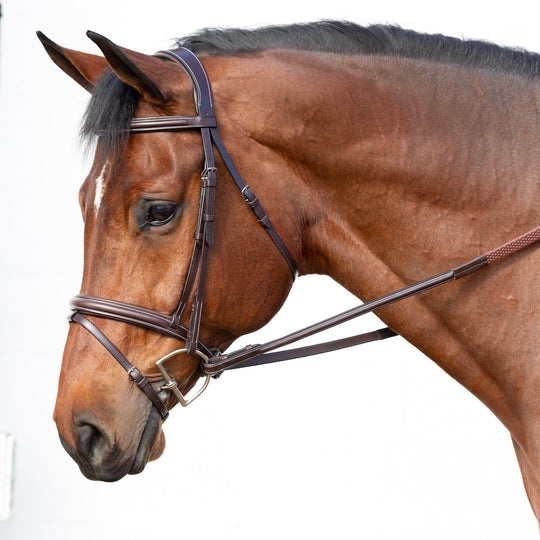 Equinavia Valkyrie Fancy Stitched Jumper Bridle &amp; Rubber Reins image 