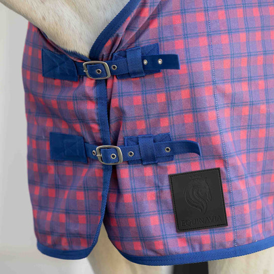 Equinavia Fryd Cotton Stable Sheet image 