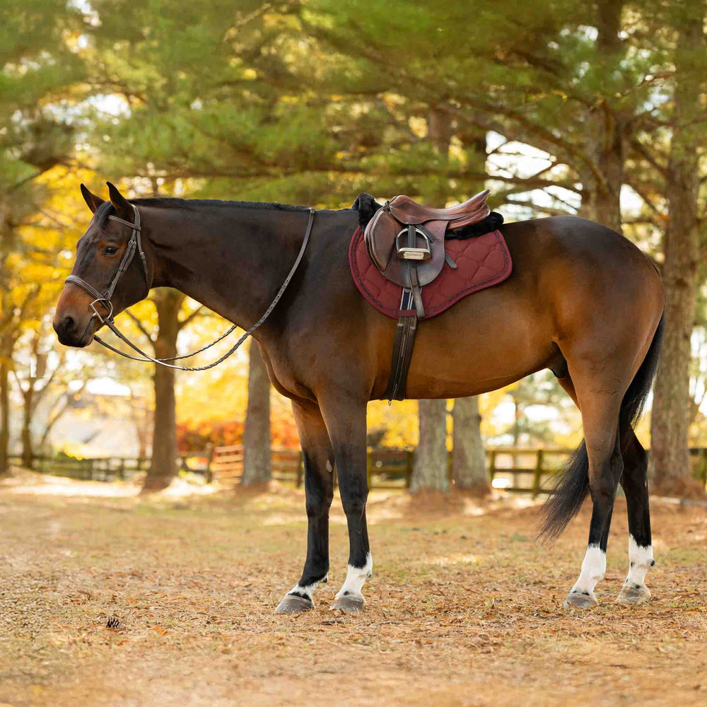 Equinavia Bergen Crystal All Purpose Saddle Pad image #2
