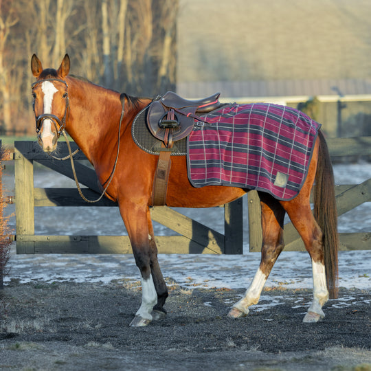 Equinavia Norse Fleece Exercise Quarter Sheet image 