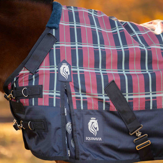 Equinavia Norse Pony Turnout Sheet image 