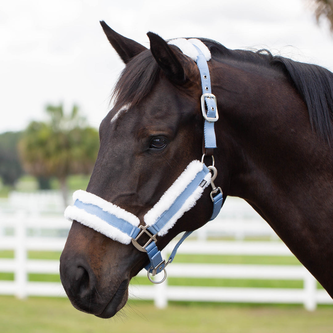 Equinavia Valkyrie Ultra Fleece Breakaway Halter image #1