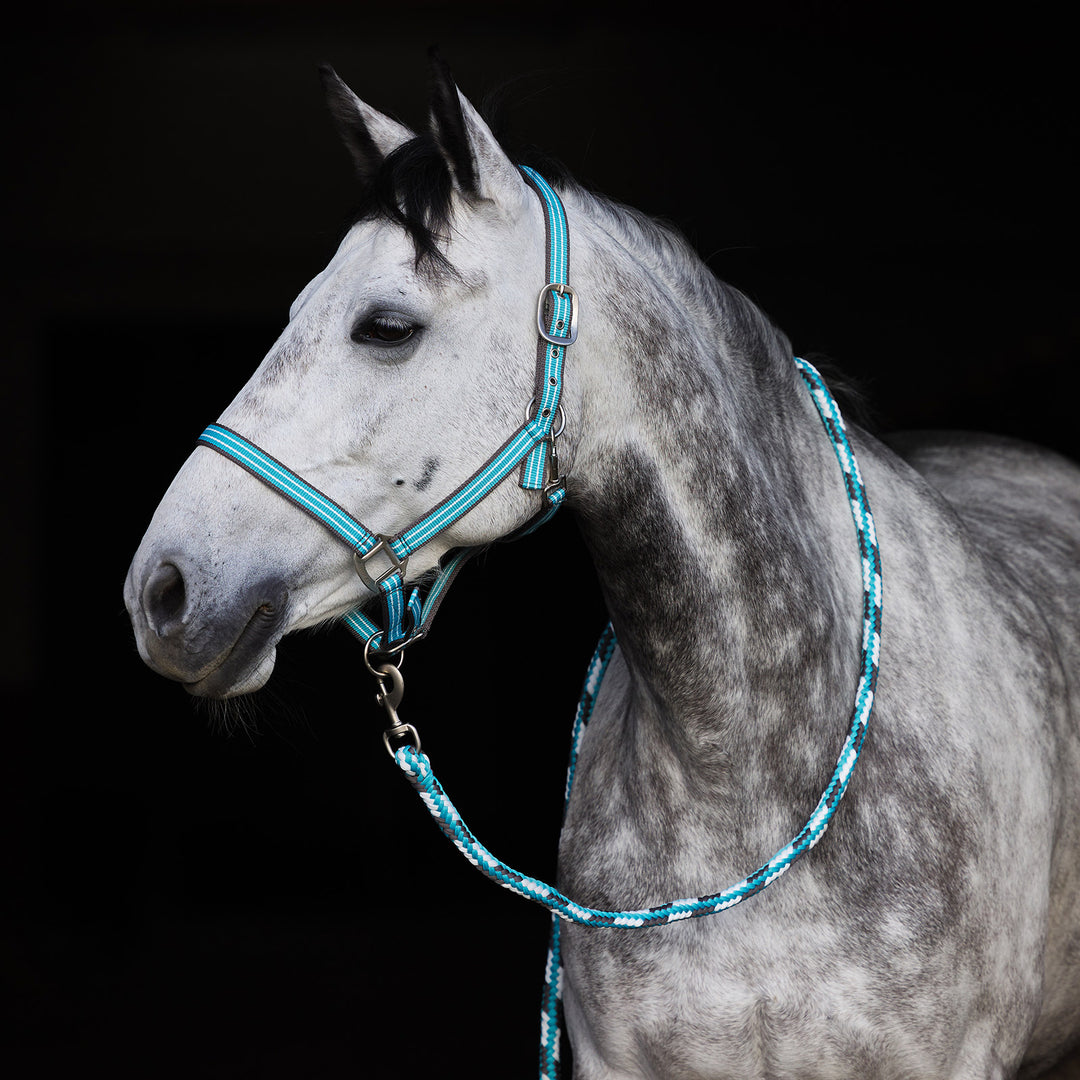 Horze Adepto Lead image 