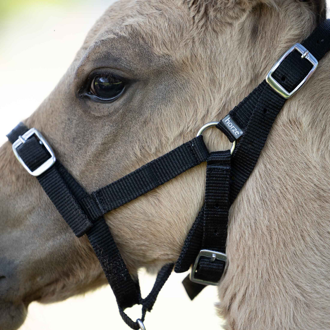 Horze Foal Halter image 