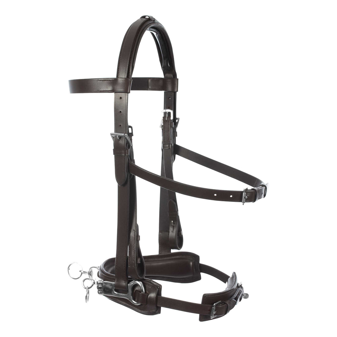 Equinavia Saga Lunge Cavesson image #1