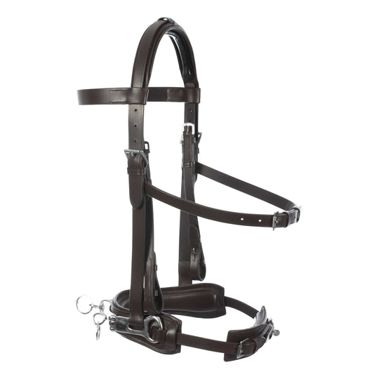 Equinavia Saga Lunge Cavesson image 
