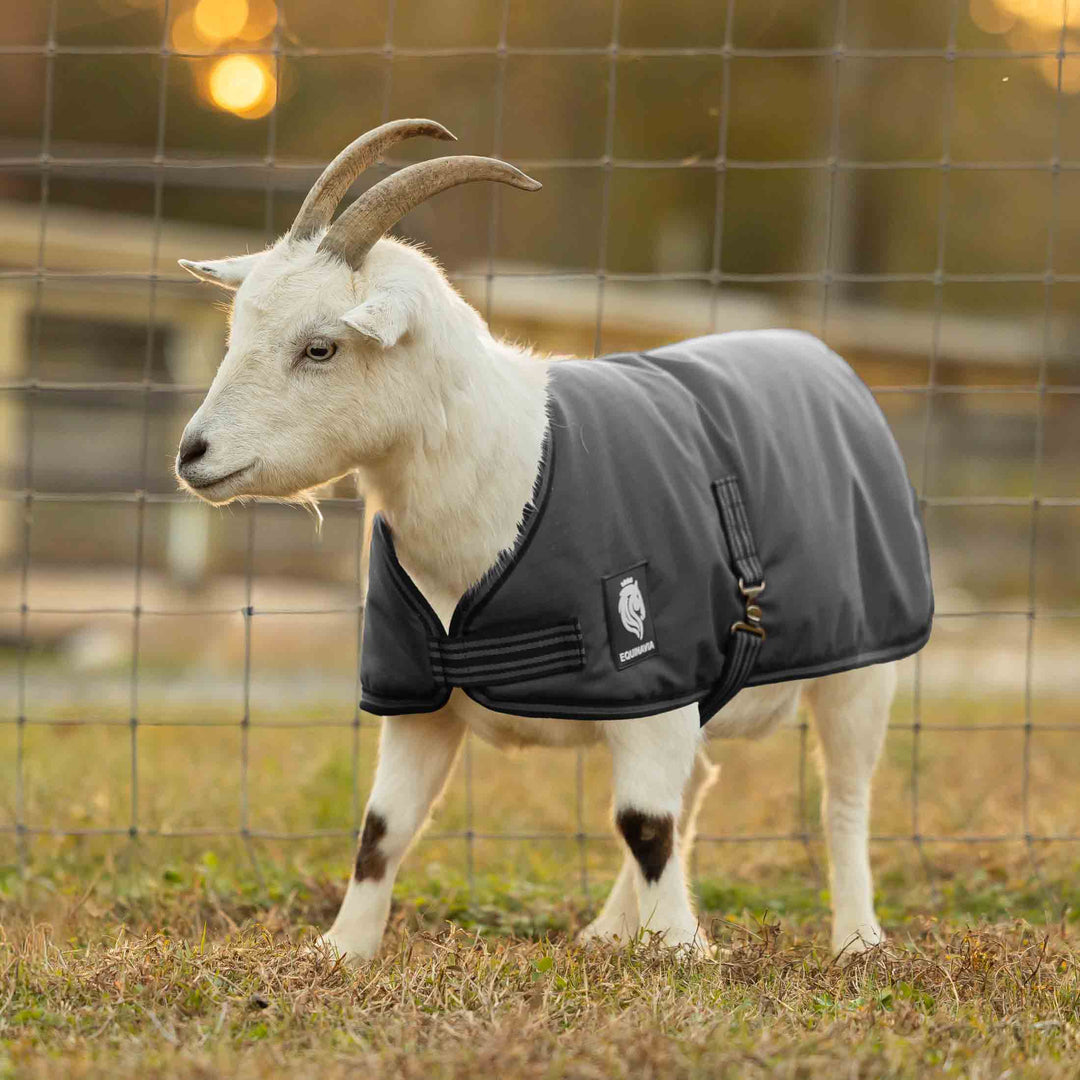 Equinavia Norse Waterproof Goat Coat 0g image 