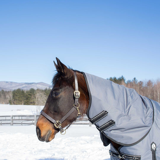Equinavia Arktis Turnout Neck Cover 200g image 