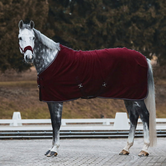 Horze Kiel Halter with Fleece image 
