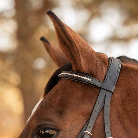 Equinavia Saga Fancy Stitch Detachable Flash Noseband image 