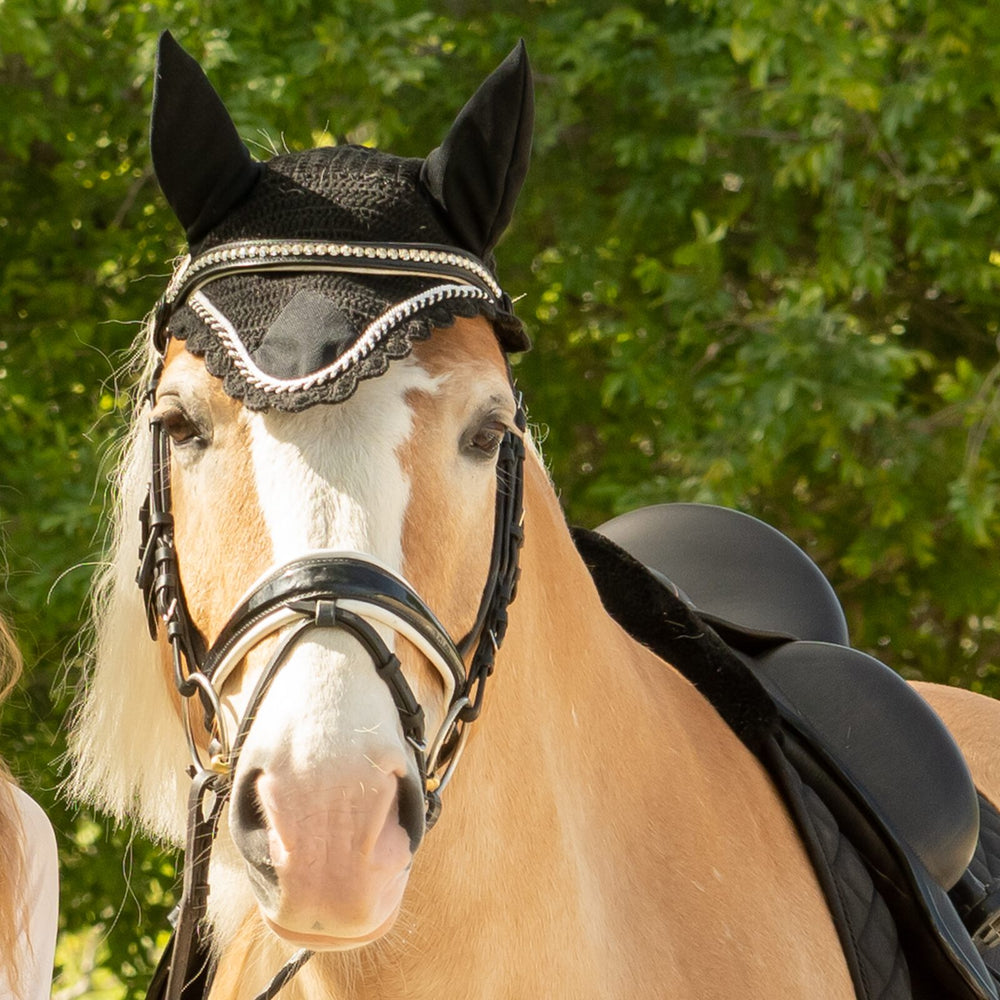 Equinavia Nord Ear Net image #2