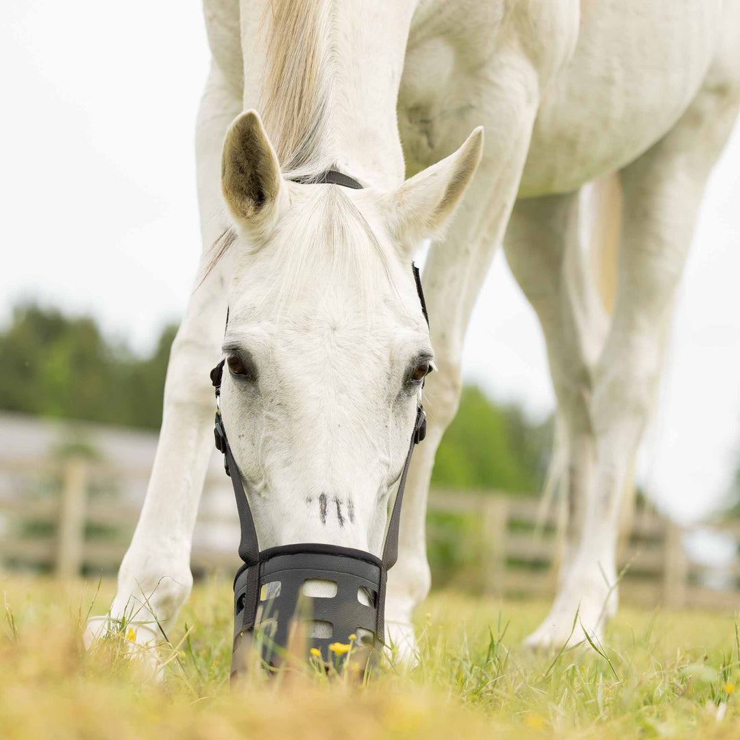 Equinavia Breakaway Grazing Muzzle image 