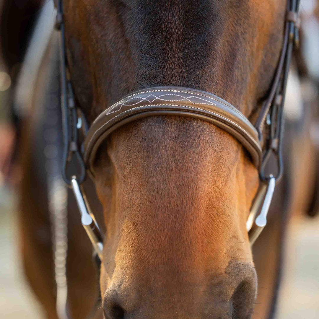 Equinavia Saga Fancy Stitch Detachable Flash Noseband image 