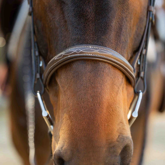 Equinavia Saga Fancy Stitch Detachable Flash Noseband image 