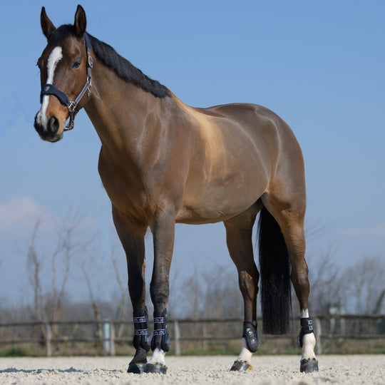 Veredus Olympus Absolute Front Tendon Boots image 