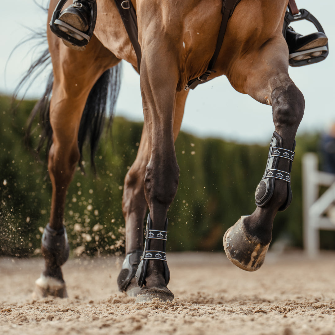 Veredus Carbon Gel Vento Rear Fetlock Boots image 