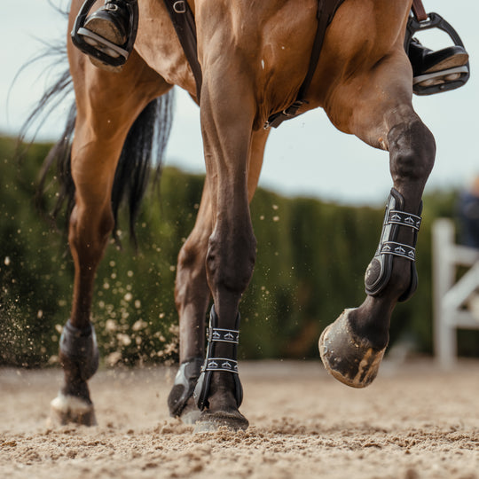 Veredus Carbon Gel Vento Rear Fetlock Boots image 