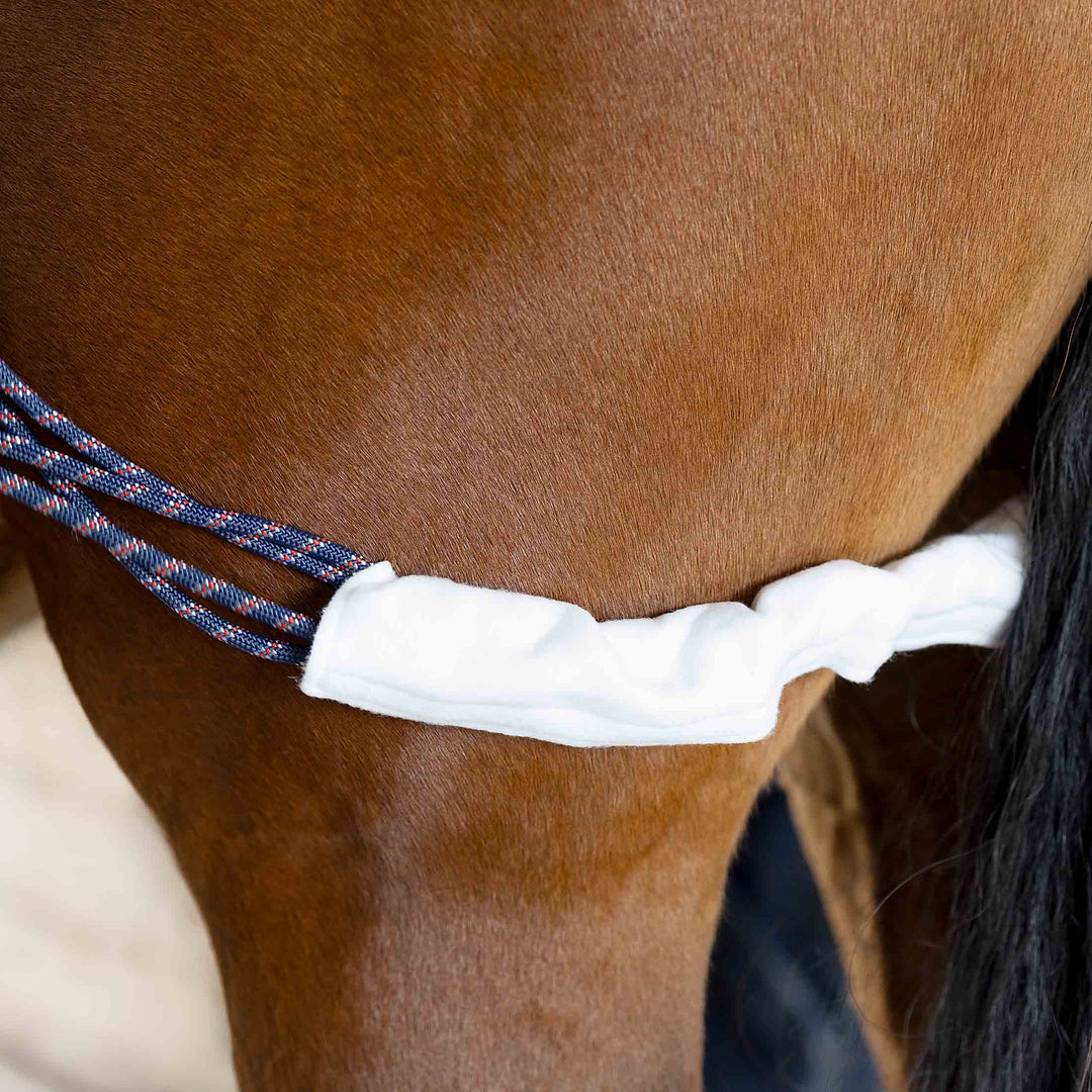 Horze Lunging Aid image 