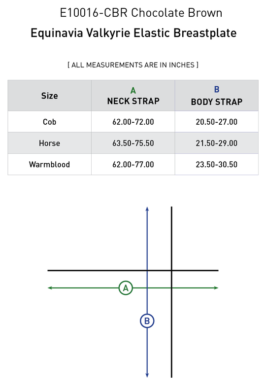Size chart: Breastplates